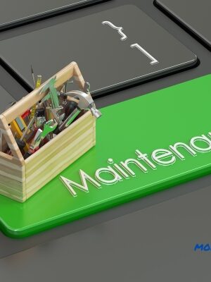 Web Maintenance - Advanced plan